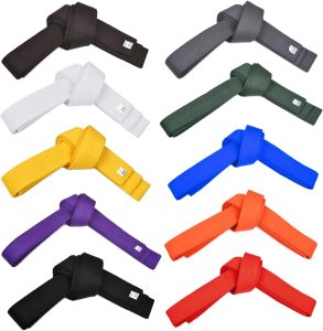 judoka belts