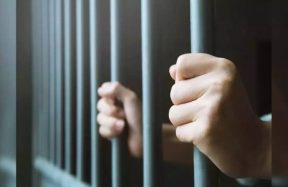 Sicko Michigan Pedophile