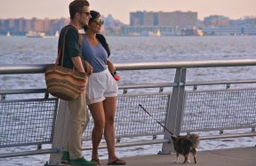 new york dating scene